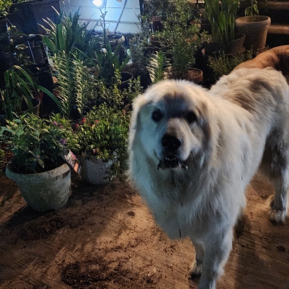 Meet your Posher, Mary - Picture 11 of 16